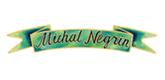 Michal Negrin
